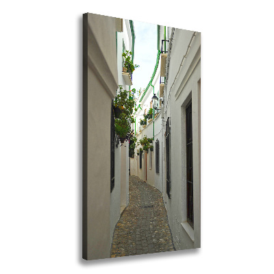 Wall art canvas Andalusia streets