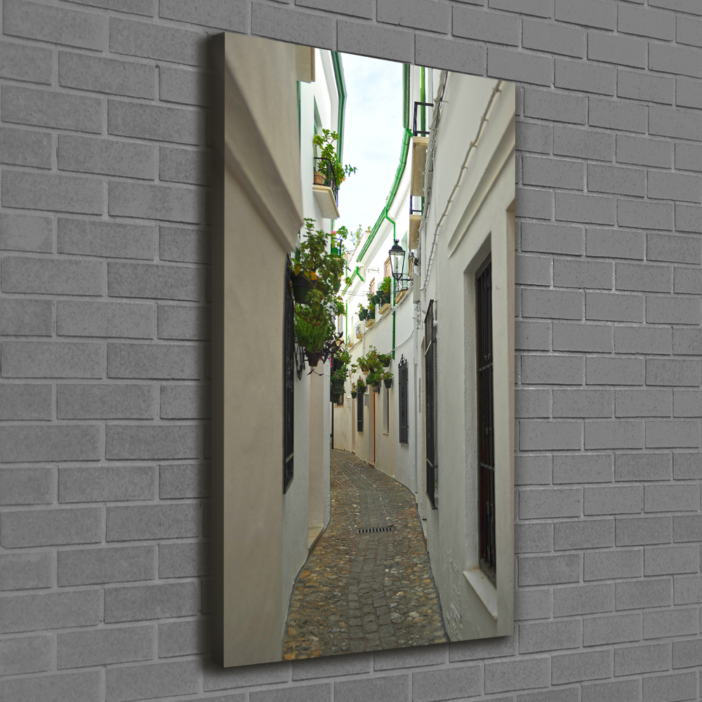 Wall art canvas Andalusia streets