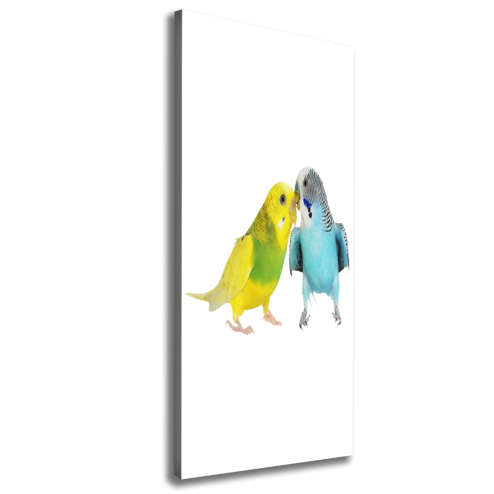 Large canvas wall art Faded parakeets