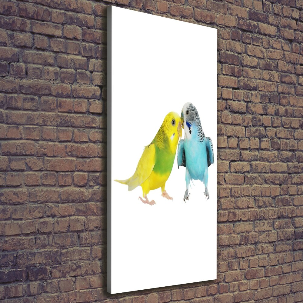 Large canvas wall art Faded parakeets