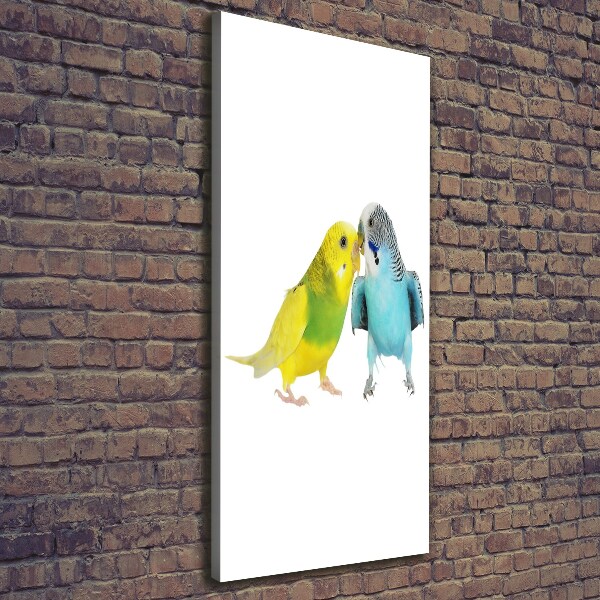 Large canvas wall art Faded parakeets