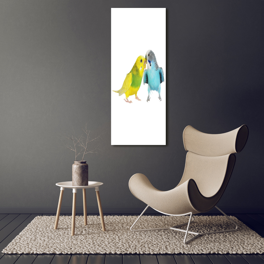 Large canvas wall art Faded parakeets