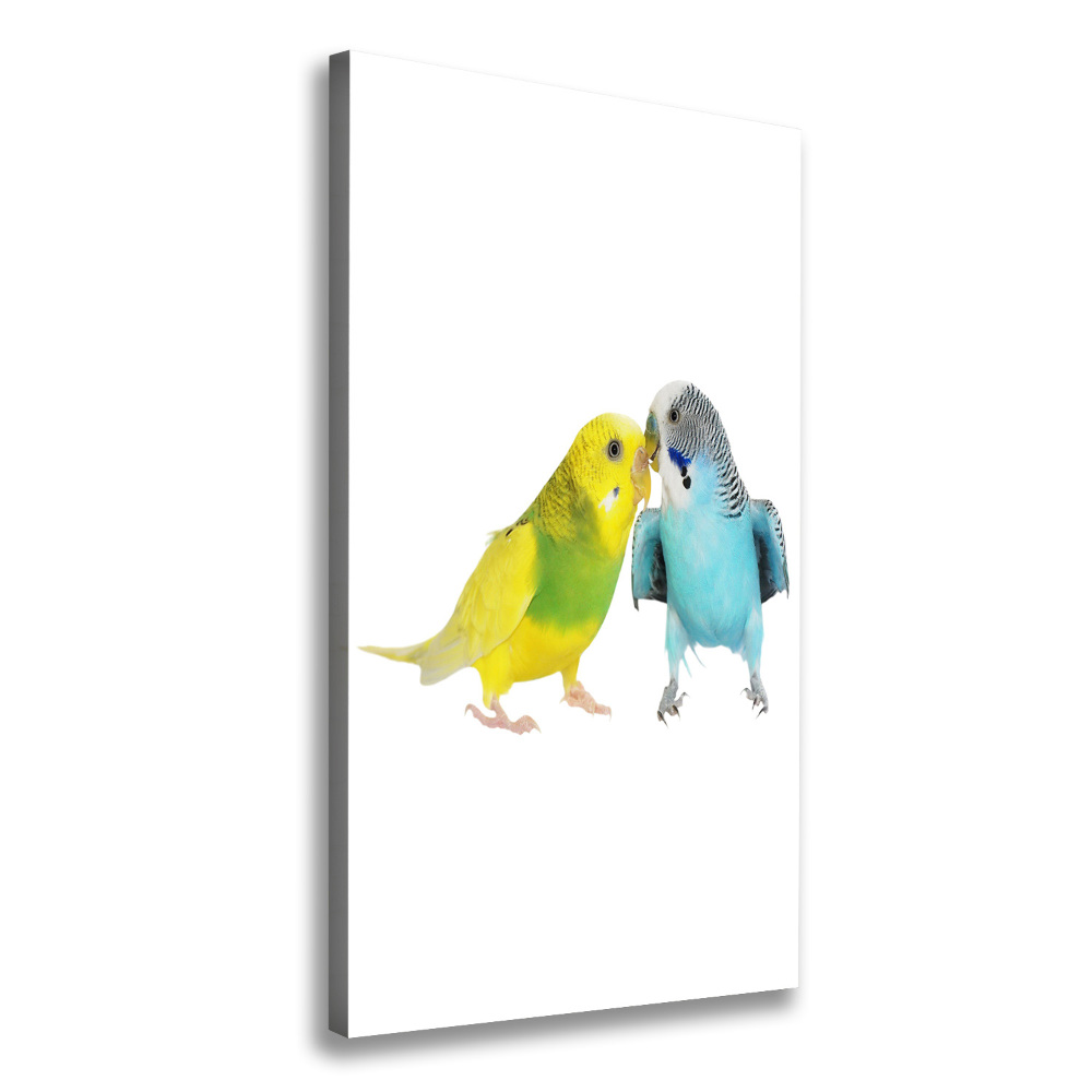 Large canvas wall art Faded parakeets