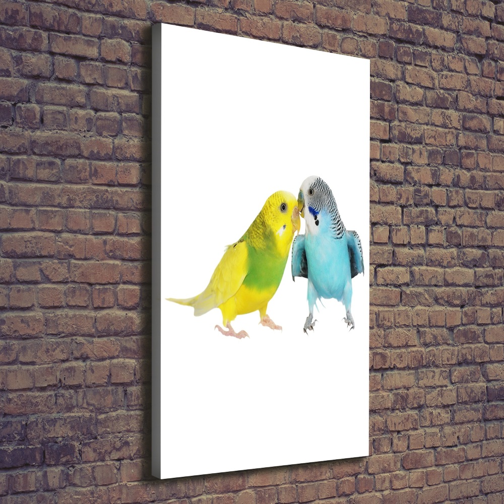 Large canvas wall art Faded parakeets