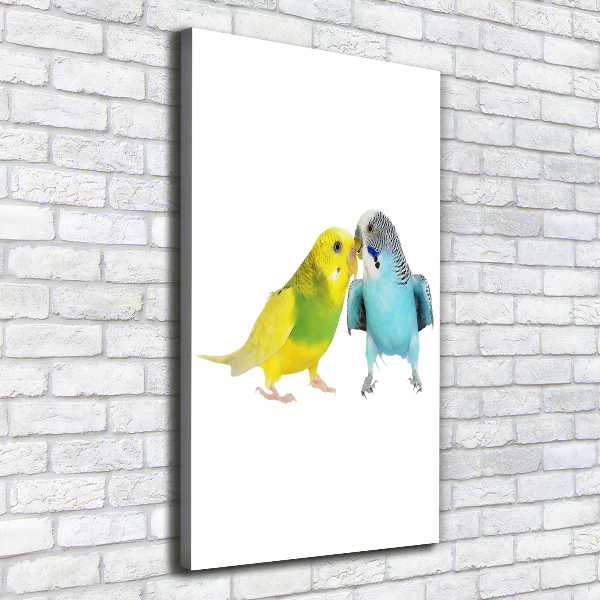 Large canvas wall art Faded parakeets