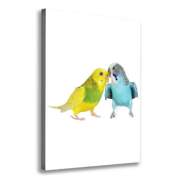 Large canvas wall art Faded parakeets