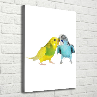 Large canvas wall art Faded parakeets