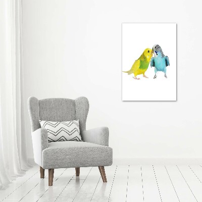 Large canvas wall art Faded parakeets