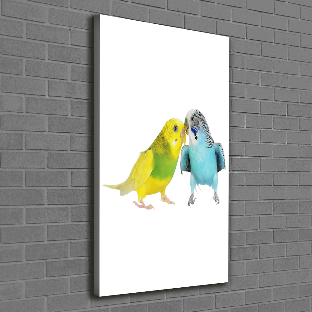 Large canvas wall art Faded parakeets