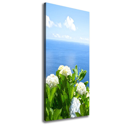 Canvas print Hydrangea sea