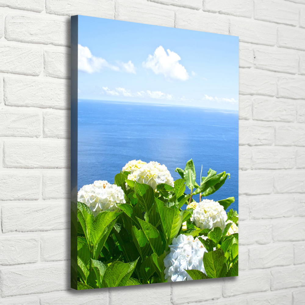 Canvas print Hydrangea sea