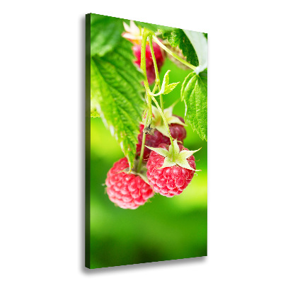 Large canvas wall art Raspberries on the bush