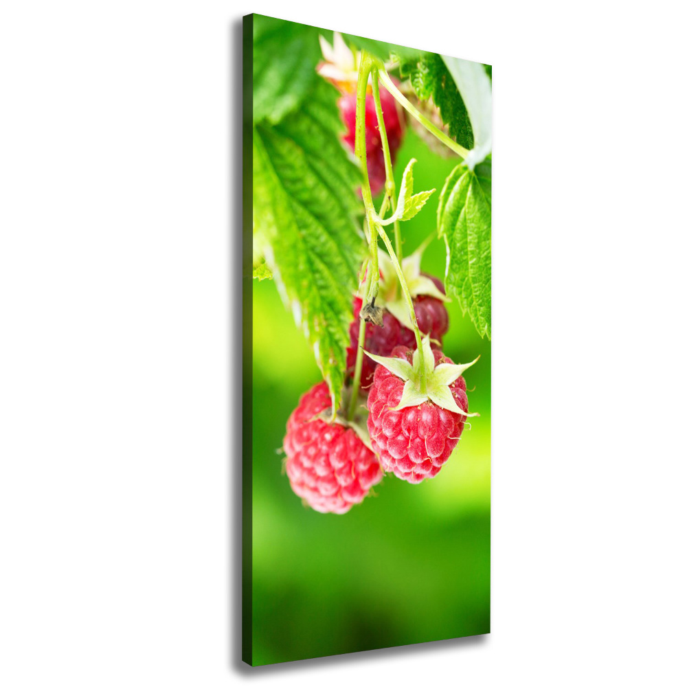 Large canvas wall art Raspberries on the bush