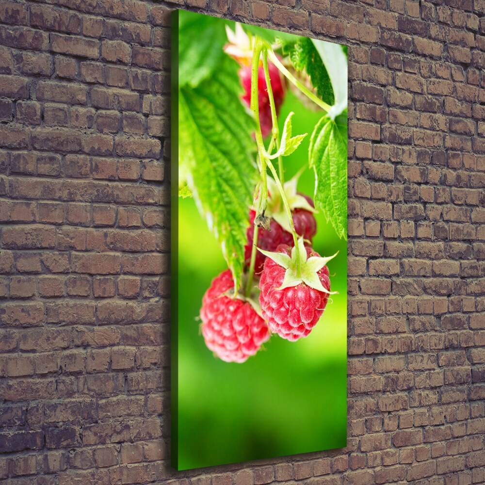 Large canvas wall art Raspberries on the bush