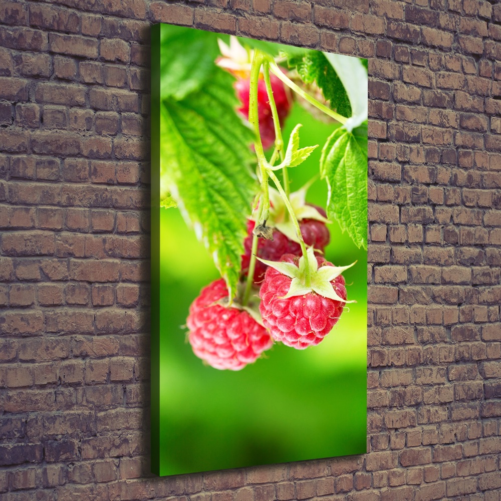 Large canvas wall art Raspberries on the bush