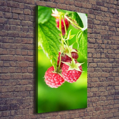 Large canvas wall art Raspberries on the bush