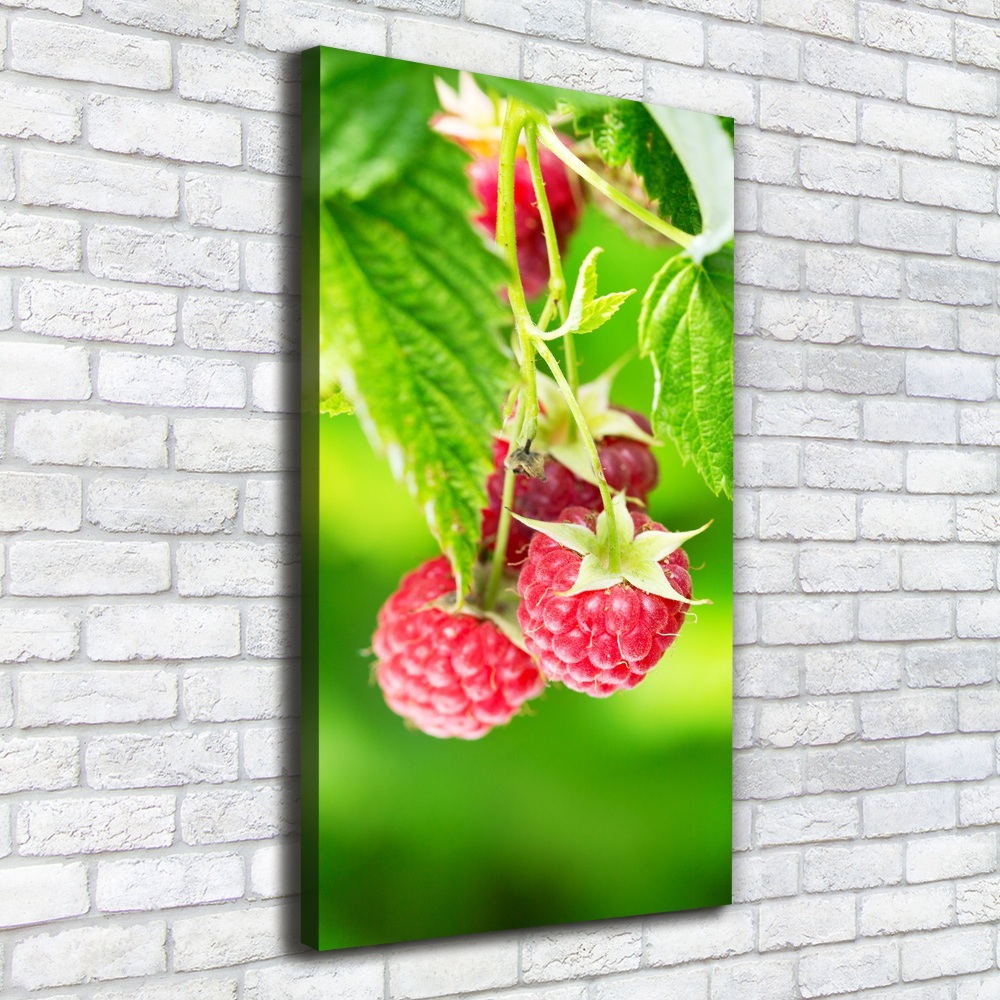 Large canvas wall art Raspberries on the bush