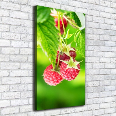 Large canvas wall art Raspberries on the bush