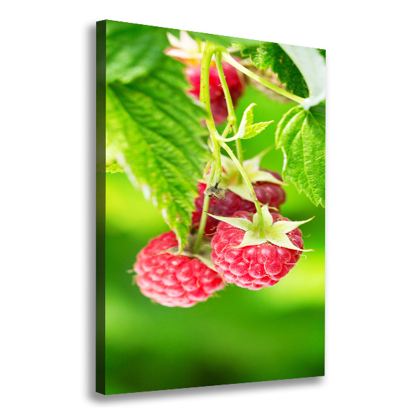 Large canvas wall art Raspberries on the bush