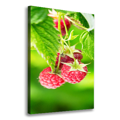 Large canvas wall art Raspberries on the bush