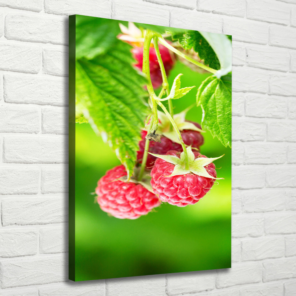 Large canvas wall art Raspberries on the bush