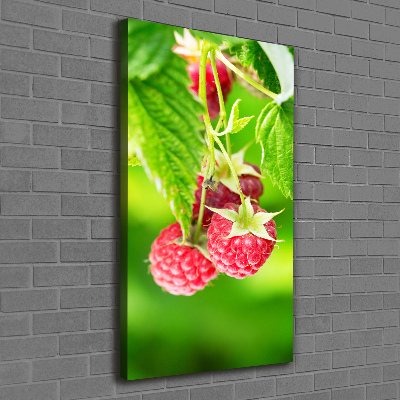 Large canvas wall art Raspberries on the bush