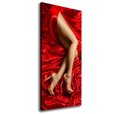 Canvas wall art Satin legs