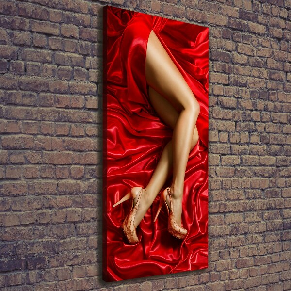 Canvas wall art Satin legs