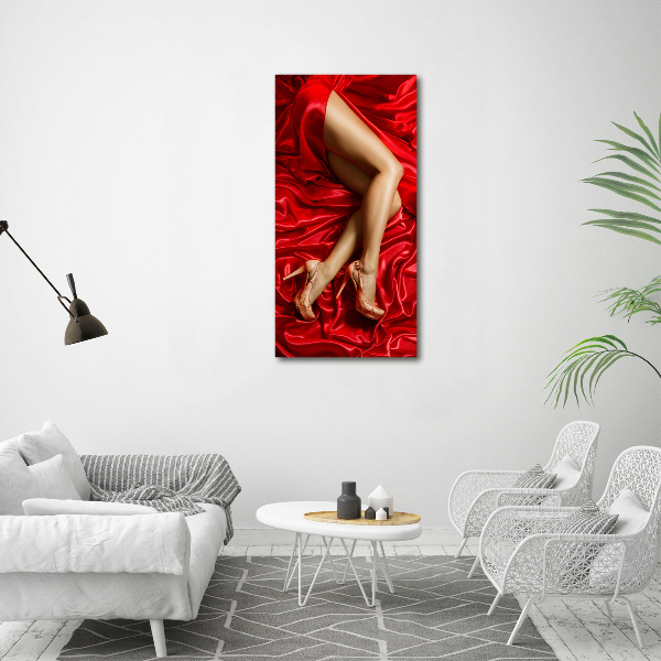 Canvas wall art Satin legs