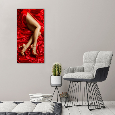 Canvas wall art Satin legs