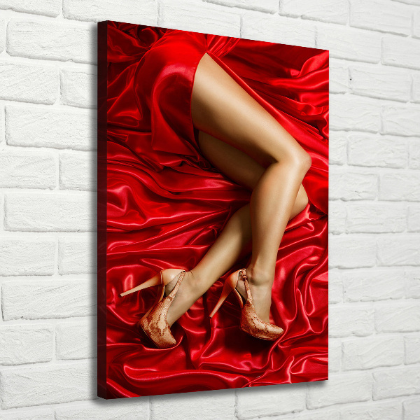 Canvas wall art Satin legs