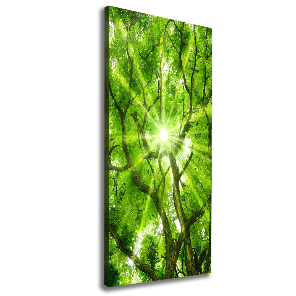 Large canvas wall art Crown of trees