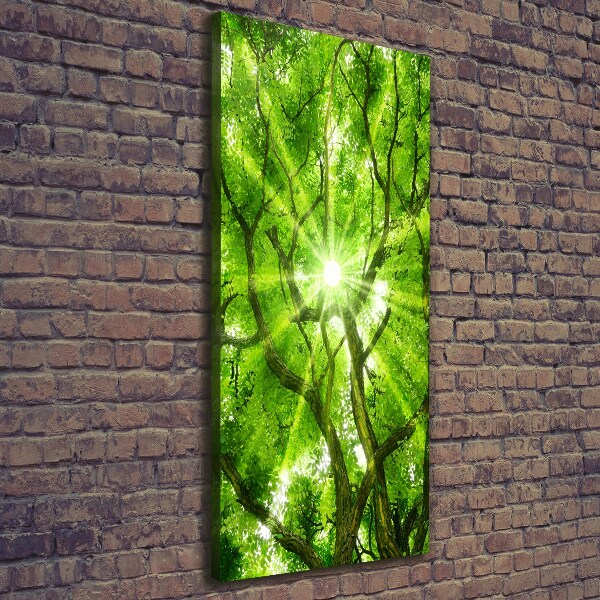 Large canvas wall art Crown of trees