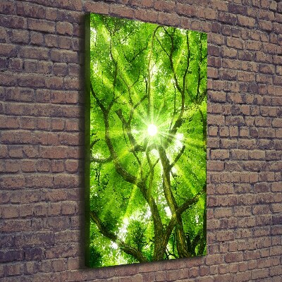 Large canvas wall art Crown of trees