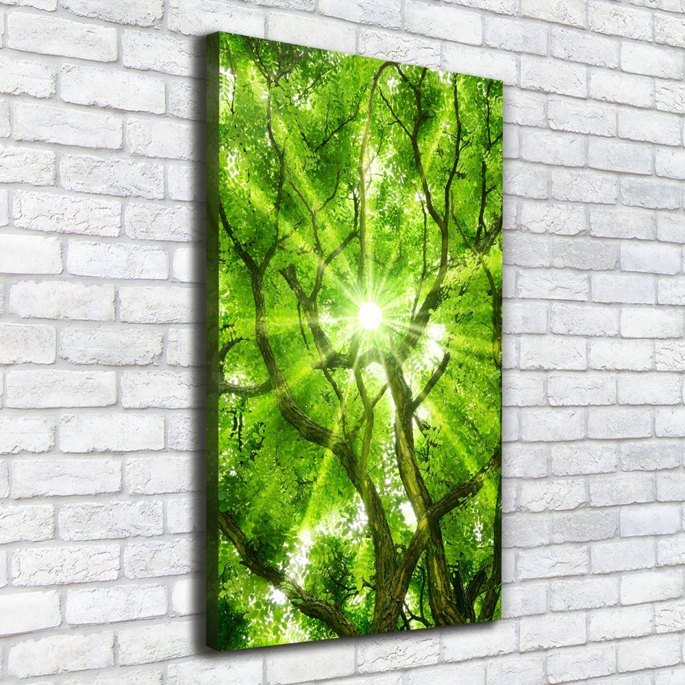 Large canvas wall art Crown of trees