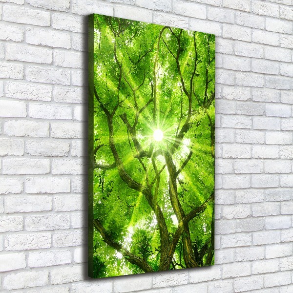 Large canvas wall art Crown of trees