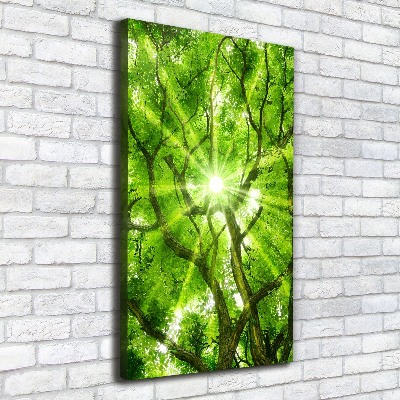 Large canvas wall art Crown of trees