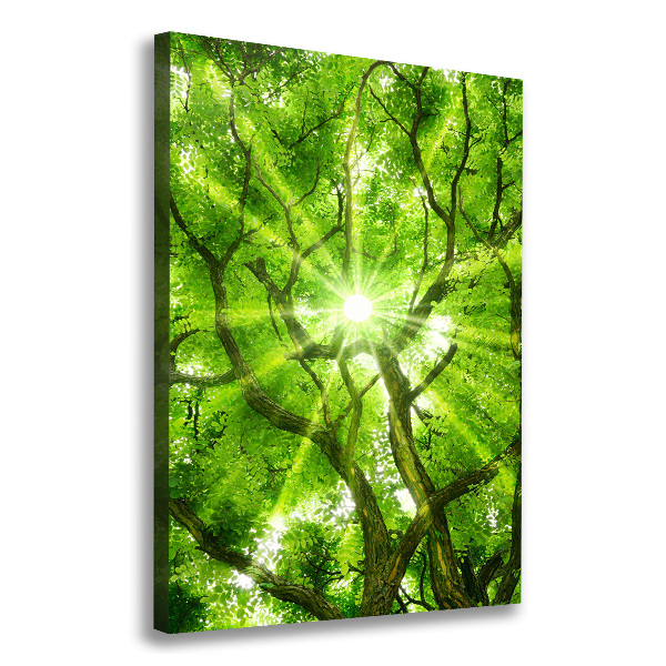 Large canvas wall art Crown of trees