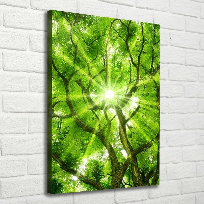 Large canvas wall art Crown of trees