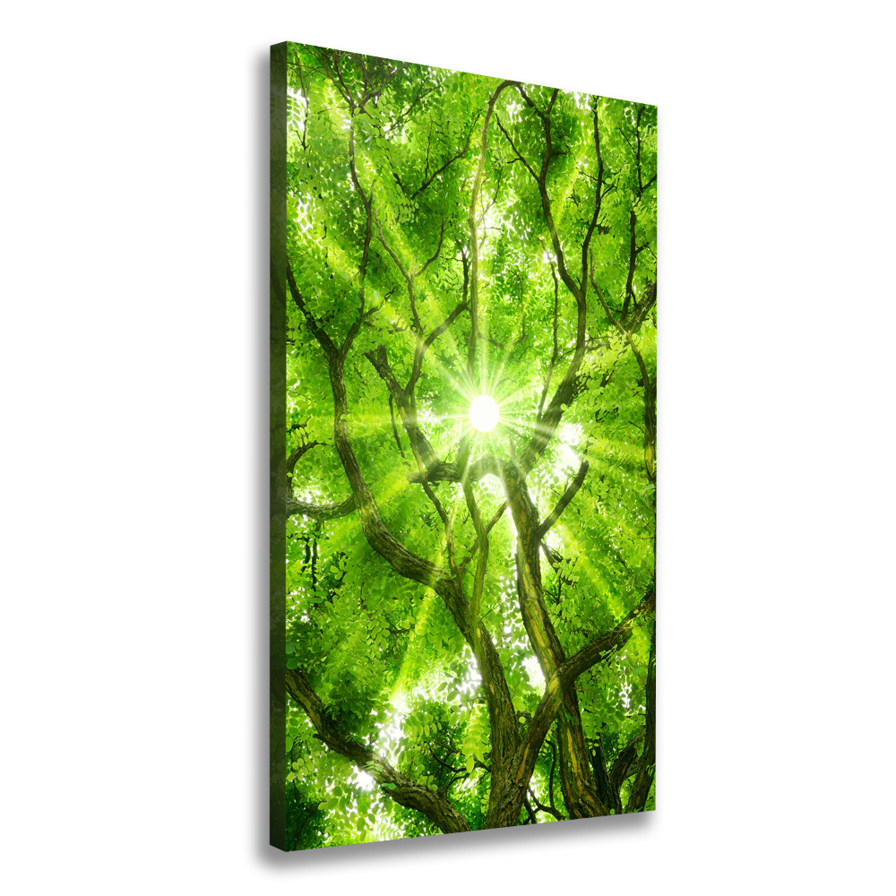 Large canvas wall art Crown of trees