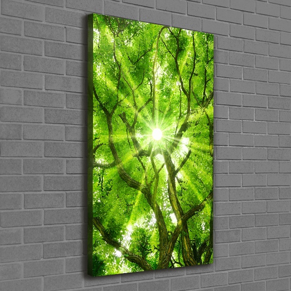 Large canvas wall art Crown of trees