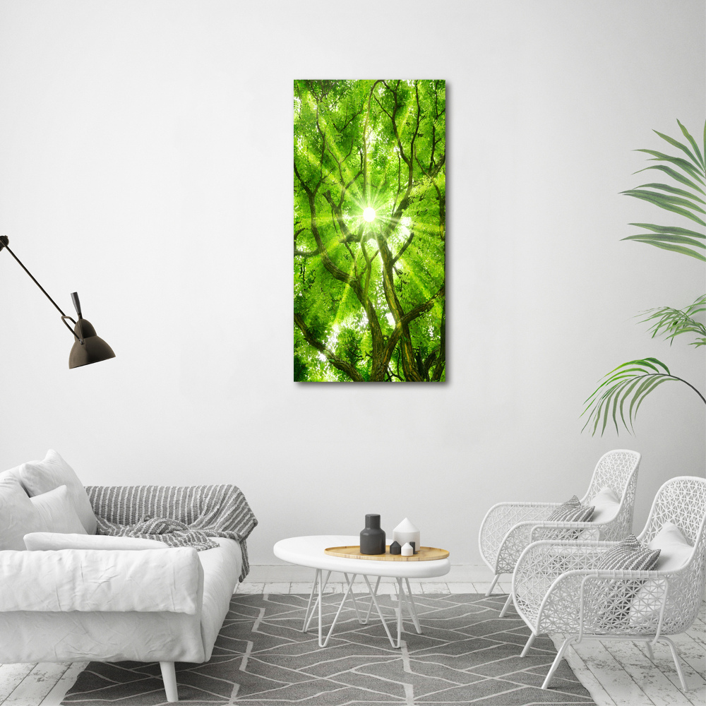 Large canvas wall art Crown of trees