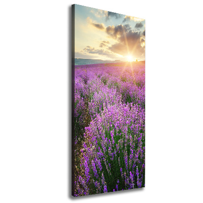 Large canvas wall art Lavender field