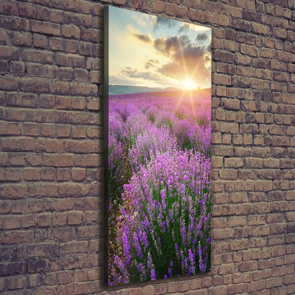 Large canvas wall art Lavender field