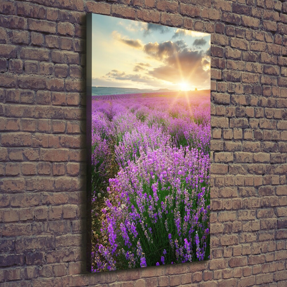 Large canvas wall art Lavender field