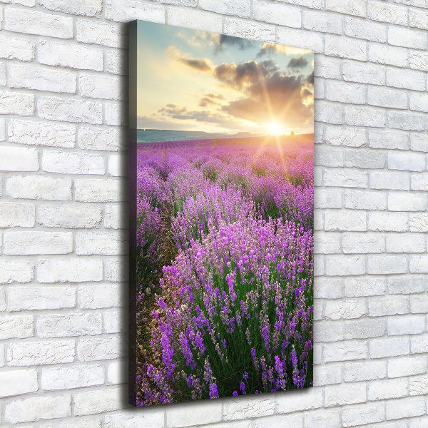 Large canvas wall art Lavender field