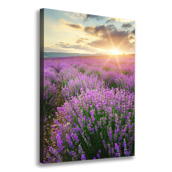 Large canvas wall art Lavender field