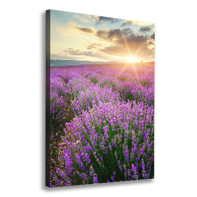 Large canvas wall art Lavender field