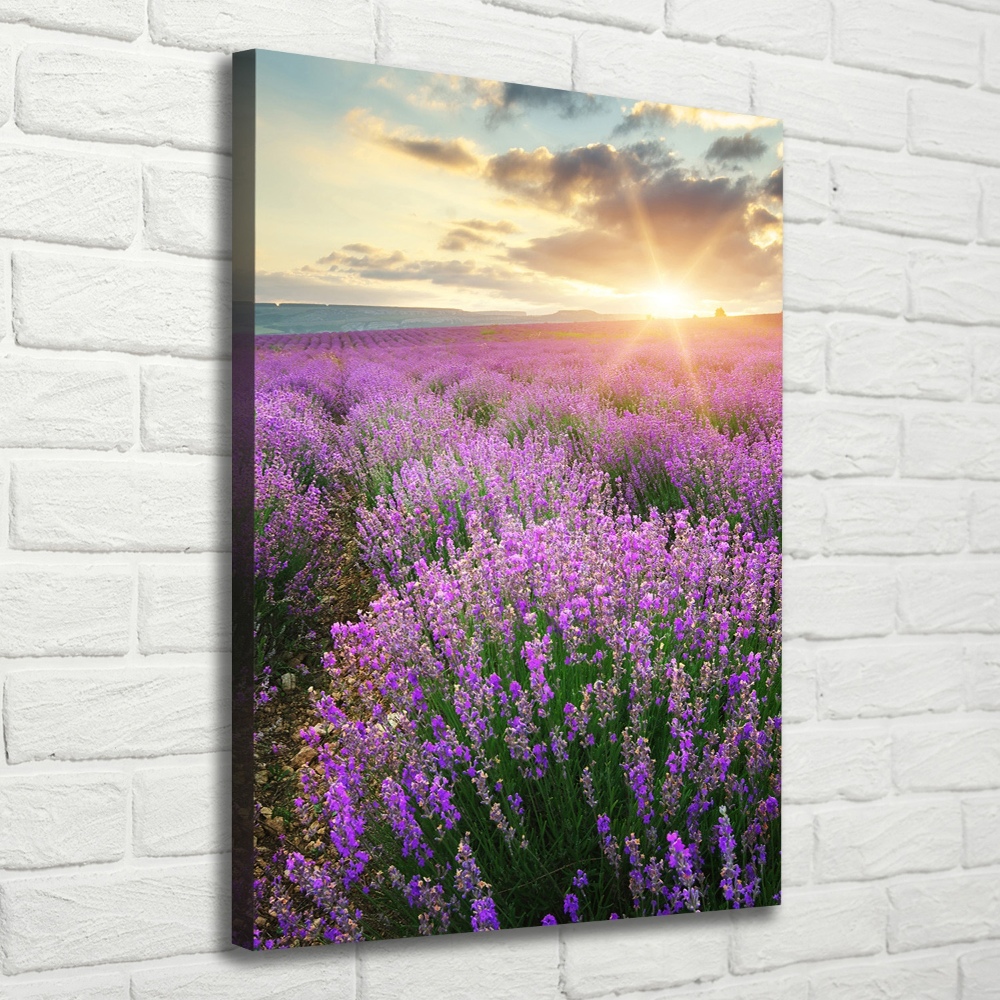 Large canvas wall art Lavender field