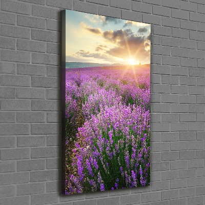 Large canvas wall art Lavender field